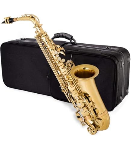 Amazon.com: Selmer Aristocrat AS600 Alto Sax W/Case
